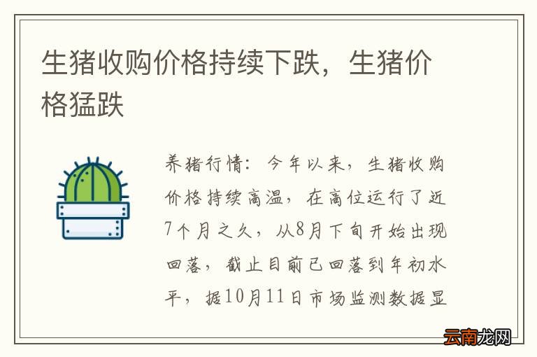 生猪收购价格持续下跌，生猪价格猛跌