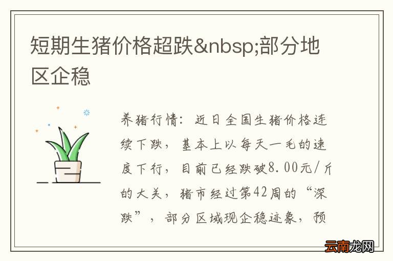 短期生猪价格超跌 部分地区企稳