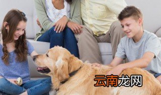 提高孩子情商 提高孩子情商的故事