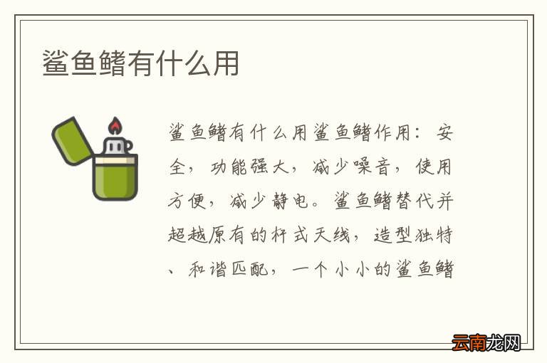 鲨鱼鳍有什么用