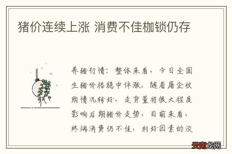 猪价连续上涨 消费不佳枷锁仍存
