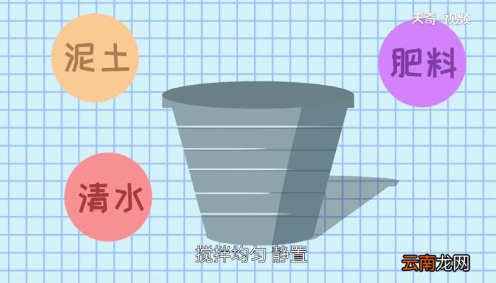 碗莲的种植方法 碗莲怎么种植才正确