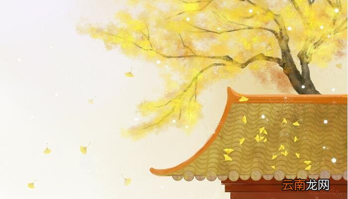 木槿花西月锦绣结局 木槿花西月锦绣结局是什么