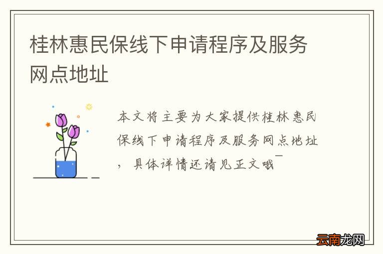 桂林惠民保线下申请程序及服务网点地址