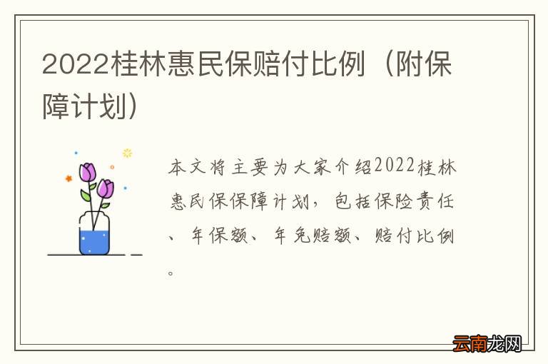 附保障计划 2022桂林惠民保赔付比例