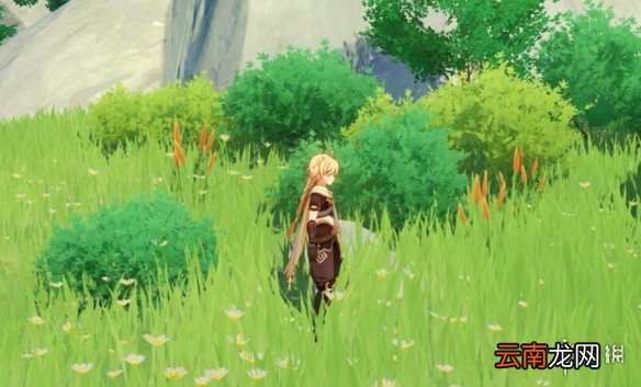原神公子皇女队怎么玩 原神公子皇女阵容推荐