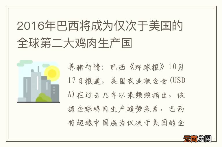 2016年巴西将成为仅次于美国的全球第二大鸡肉生产国