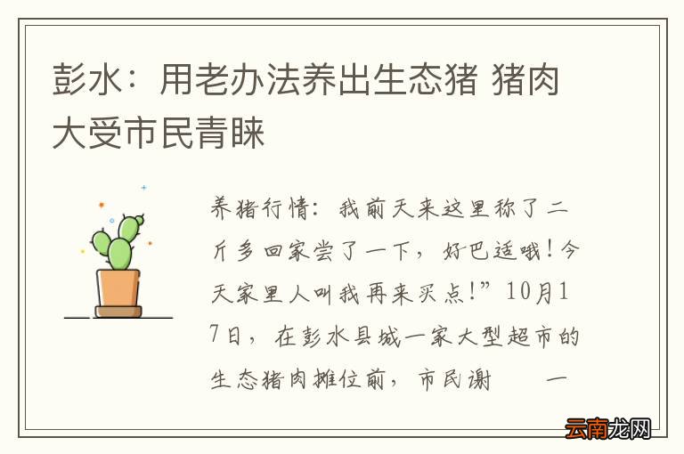 彭水：用老办法养出生态猪 猪肉大受市民青睐