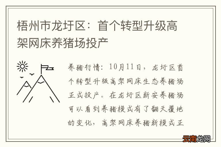 梧州市龙圩区：首个转型升级高架网床养猪场投产