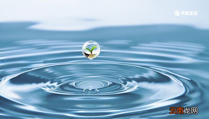 世界水日的由来背景和主题 世界水日怎么来的