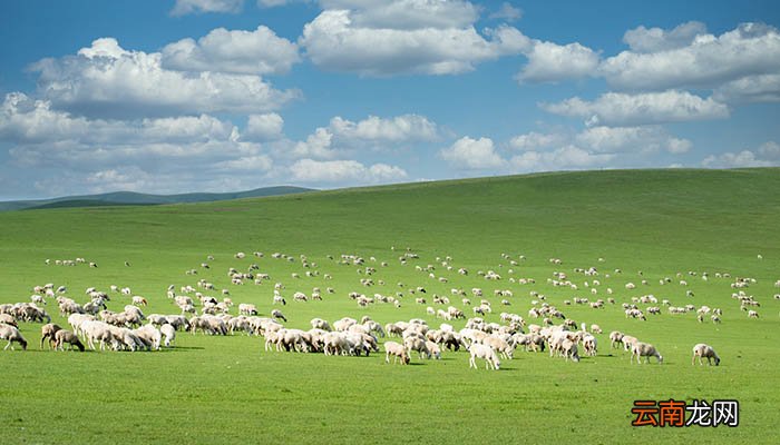 哈萨克族的风俗 哈萨克族有什么风俗