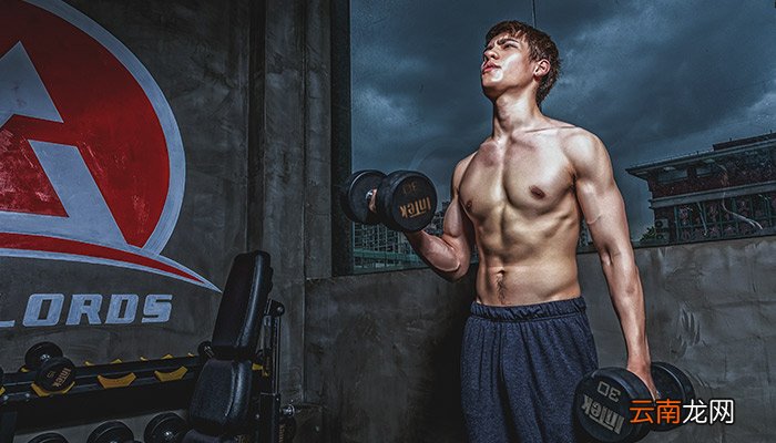 人体有多少块肌肉 人有多少块肌肉