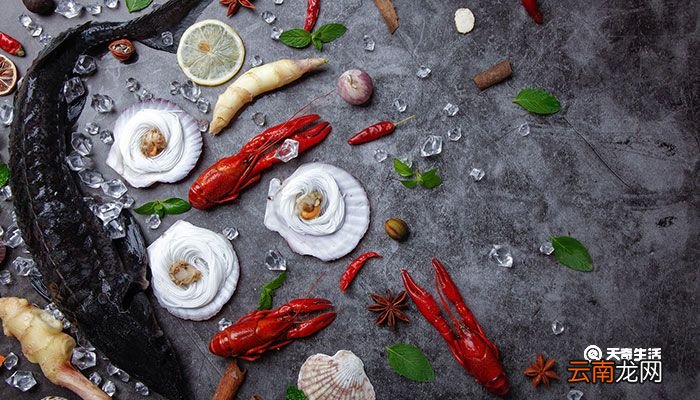 鲟鱼吃什么 鲟鱼吃什么东西长大