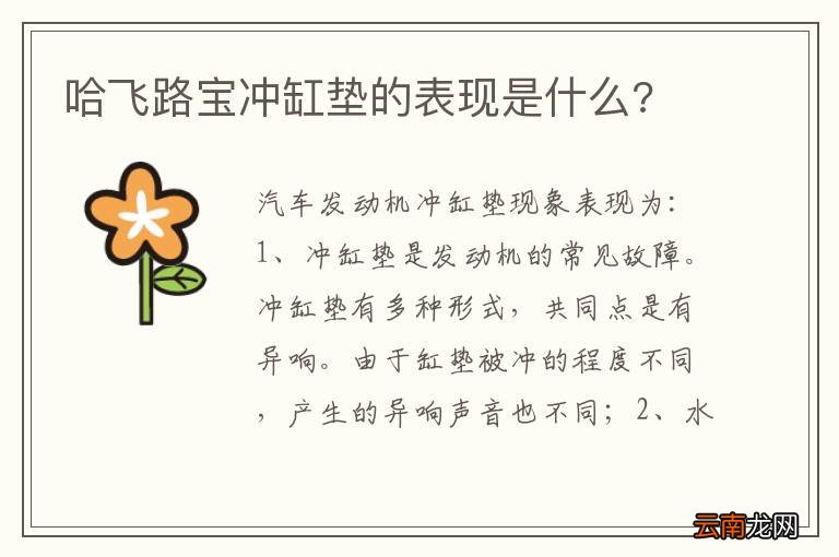 哈飞路宝冲缸垫的表现是什么?