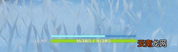 原神雪山太冷怎么办 原神龙脊雪山太冷解决方法