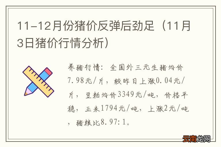 11月3日猪价行情分析 11-12月份猪价反弹后劲足