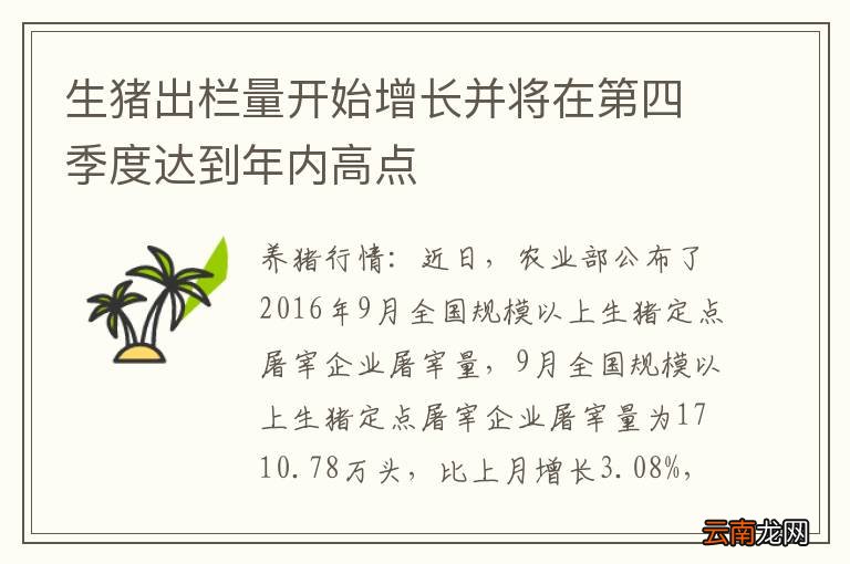 生猪出栏量开始增长并将在第四季度达到年内高点