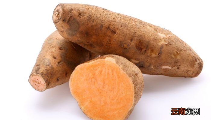 红薯的热量 红薯的热量是多少大卡