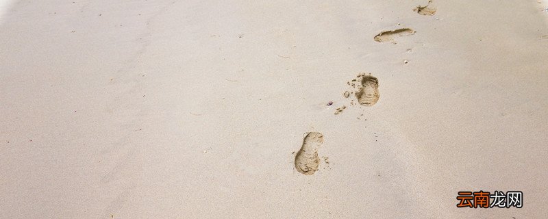 其实地上本没有路走的人多了意思其实地上本没有路走的人多了的意思