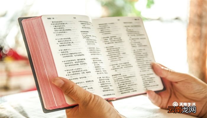 诺亚方舟是什么意思 诺亚方舟是什么