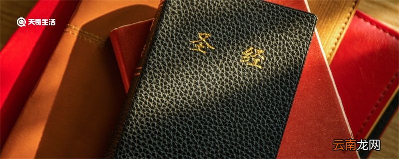 诺亚方舟是什么意思 诺亚方舟是什么