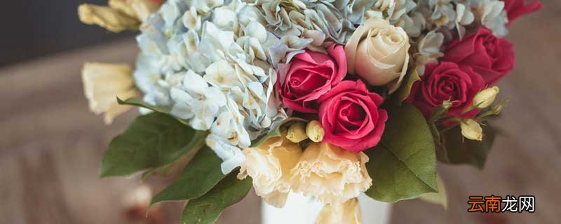 玫瑰花保鲜一个月方法 玫瑰鲜花如何保鲜更长时间