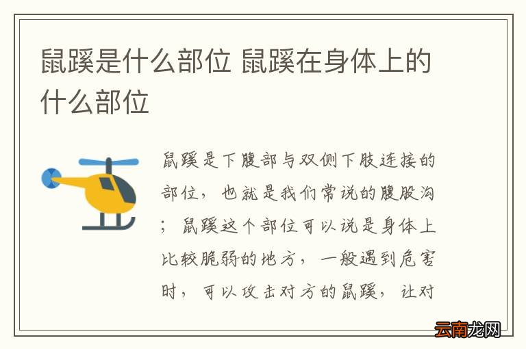 鼠蹊是什么部位 鼠蹊在身体上的什么部位