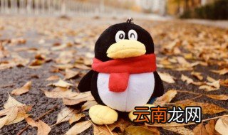 qq怎么加公众号2021 qq怎么加公众号