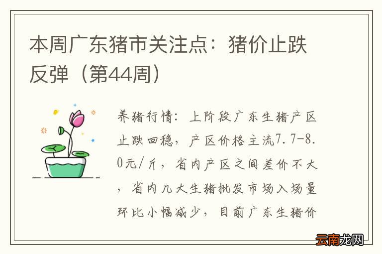 第44周 本周广东猪市关注点：猪价止跌反弹