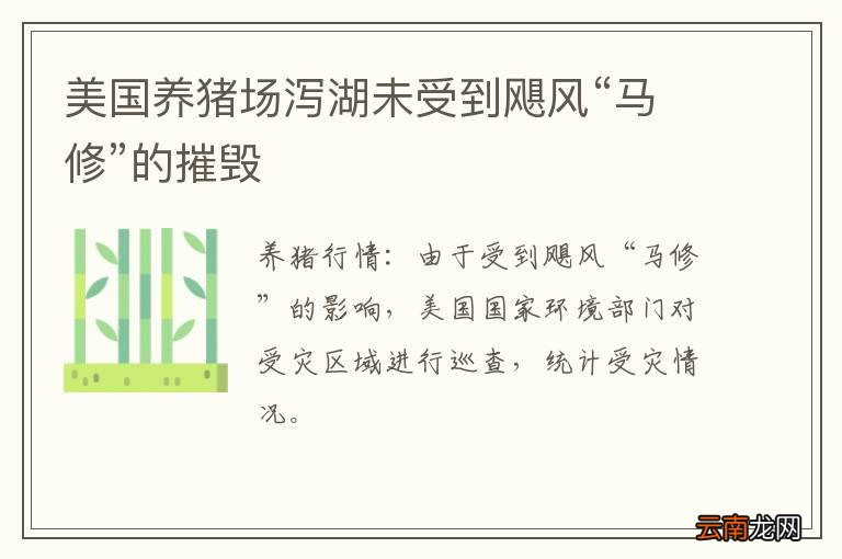 美国养猪场泻湖未受到飓风“马修”的摧毁