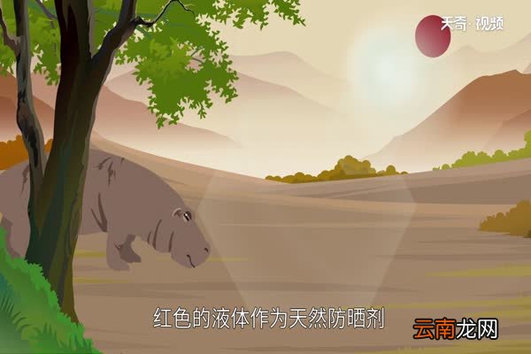 河马吃什么 河马以什么为食