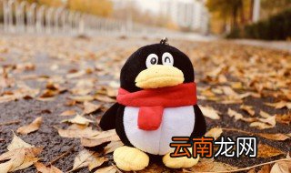 qq中毒了乱发东西怎么办 苹果手机qq中毒了乱发东西怎么办