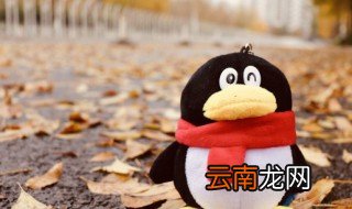 qq邮箱怎么查，qq邮箱怎么查看邮箱账号