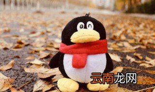qq透明头像怎么设置，qq透明头像怎么设置手机