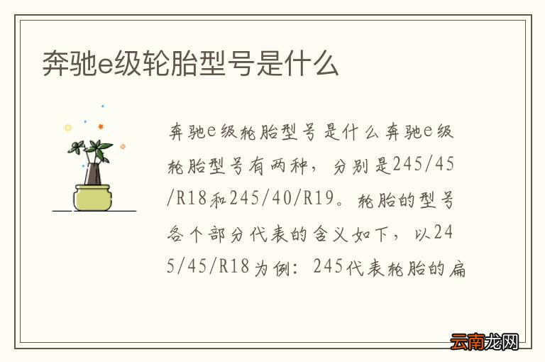奔驰e级轮胎型号是什么