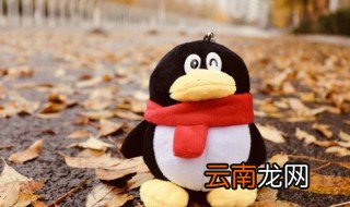 怎么样才能下载qq 怎么样才能下载QQ