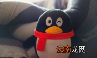 qq怎么开直播间 手机qq怎么自己直播