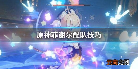 原神菲谢尔怎么配队 原神菲谢尔配队技巧