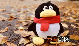 qq如何开通购物号 手机qq怎么申请购物号