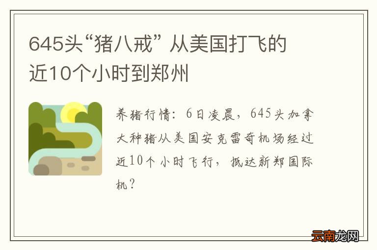 645头“猪八戒” 从美国打飞的近10个小时到郑州