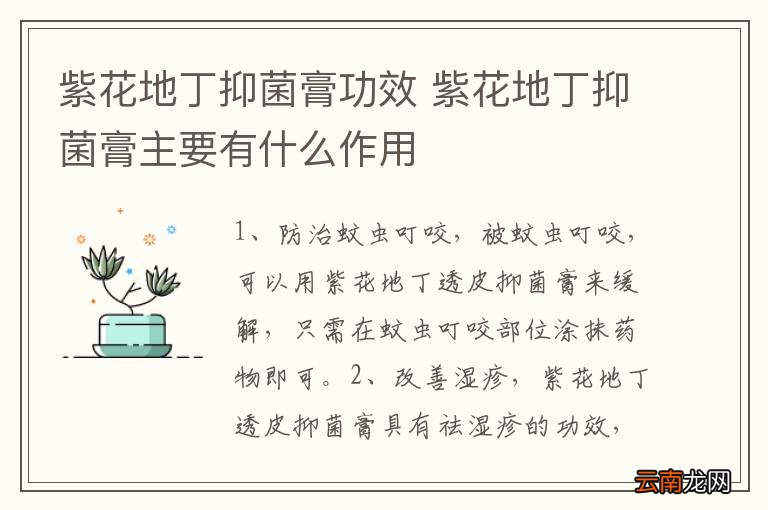 紫花地丁抑菌膏功效 紫花地丁抑菌膏主要有什么作用