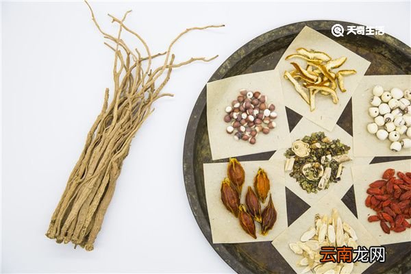 大定风珠的功效与作用 大定风珠的功效