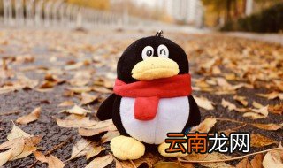 2022qq文字和图片怎么一起发 qq文字和图片怎么一起发
