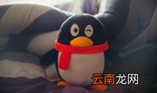 qq群直播怎么开 QQ群直播怎么开启