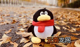 qq群怎么布置作业要管理员吗 qq群怎么布置作业
