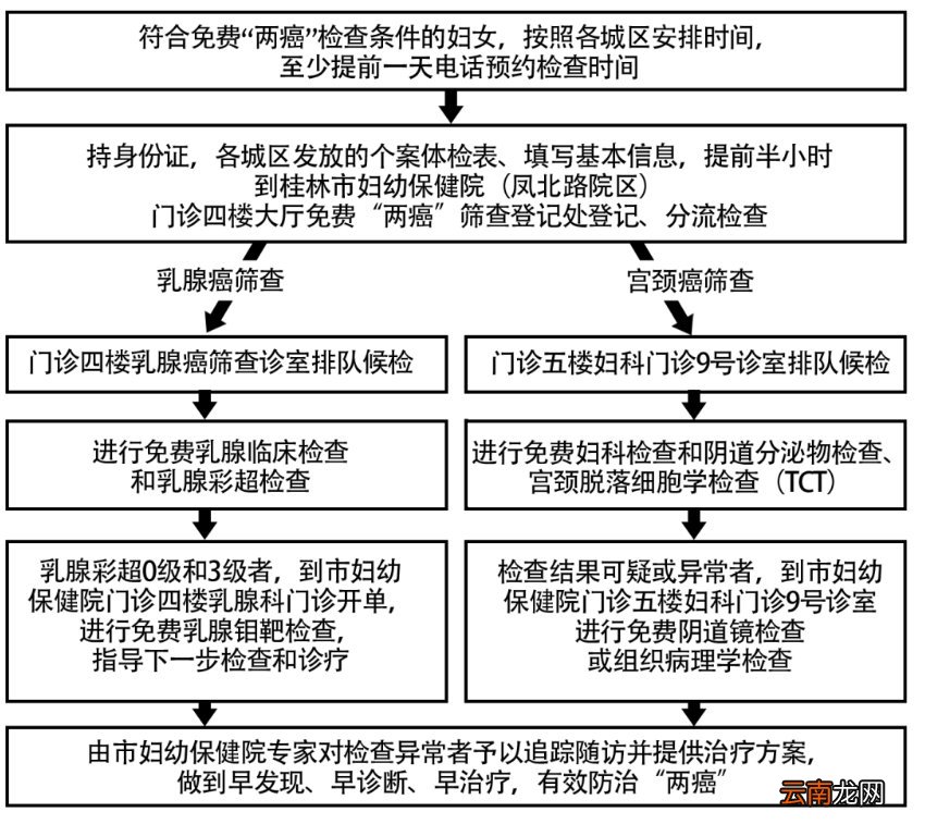 桂林市免费两癌筛查怎么申请