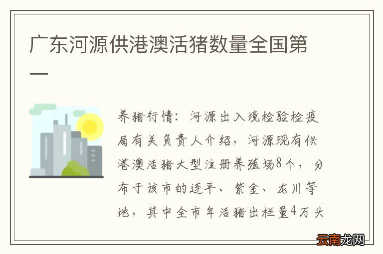 广东河源供港澳活猪数量全国第一