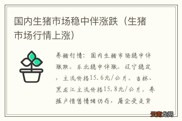 生猪市场行情上涨 国内生猪市场稳中伴涨跌