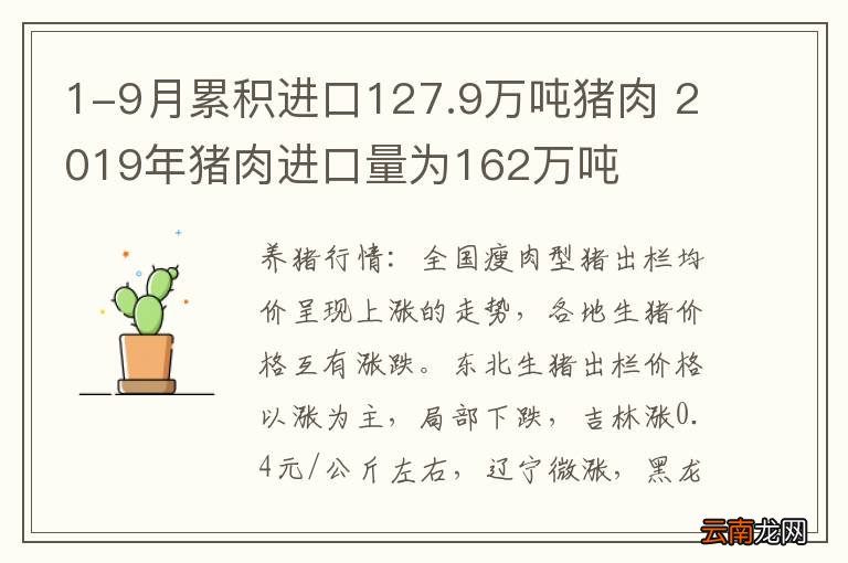 1-9月累积进口127.9万吨猪肉 2019年猪肉进口量为162万吨