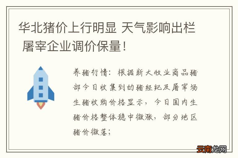 华北猪价上行明显 天气影响出栏 屠宰企业调价保量！